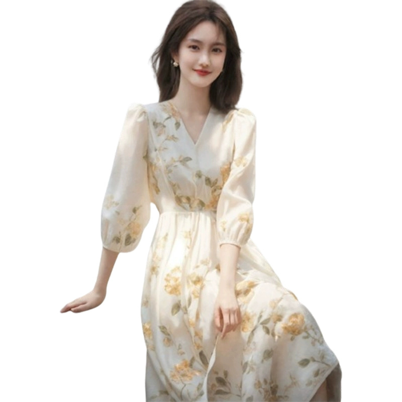 Chic early spring wear women's South French holiday style dress Chinese style women's clothing 2024 new style foreign style high-end sense - Image 5